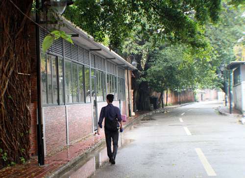 穗珠江岸违建城堡是整治办“整”出来的？